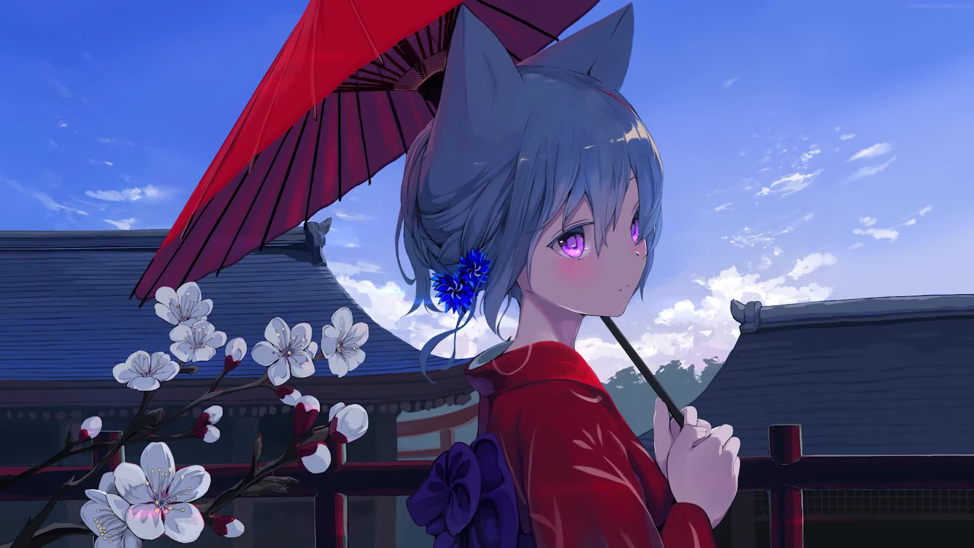 Download PC Anime Cat Girl 1 Live Wallpaper Free