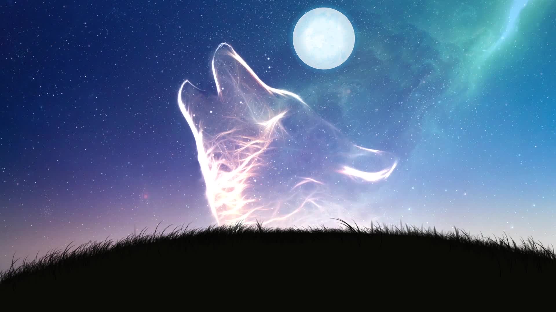 Download PC  Wolf Stars Live Wallpaper Free