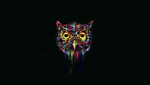 PC Acid Owl Live Wallpaper Free