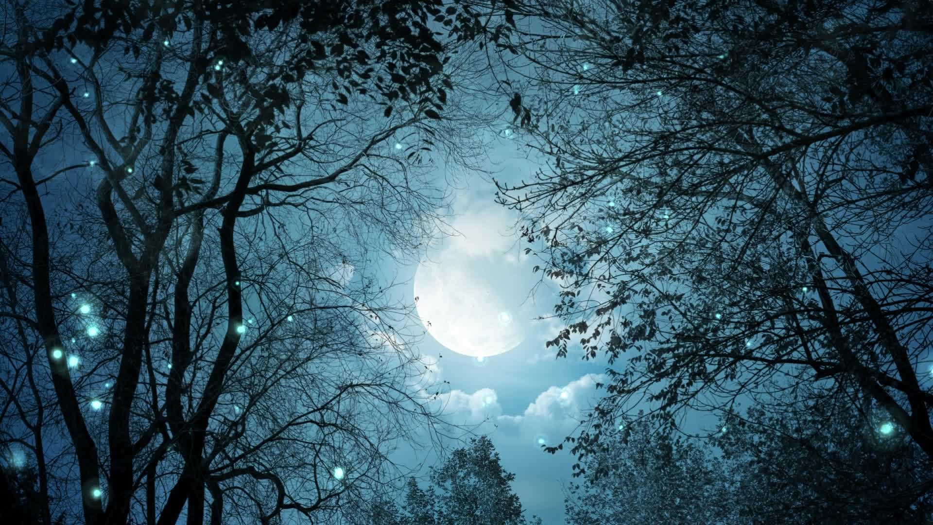 Download PC Night Moon Live Wallpaper Free