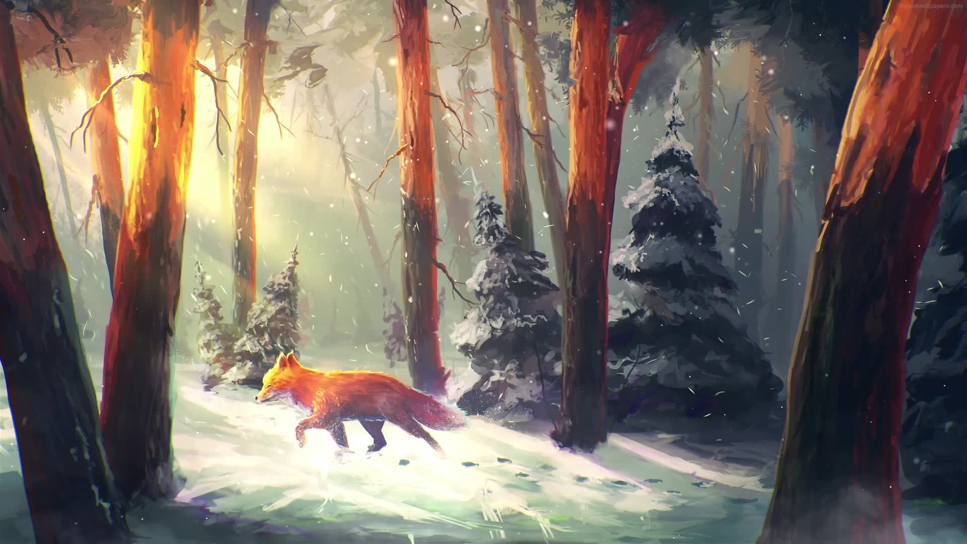 Download PC Fox in the Forest Live Wallpaper Free