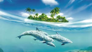PC Dolphin Island Live Wallpaper Free