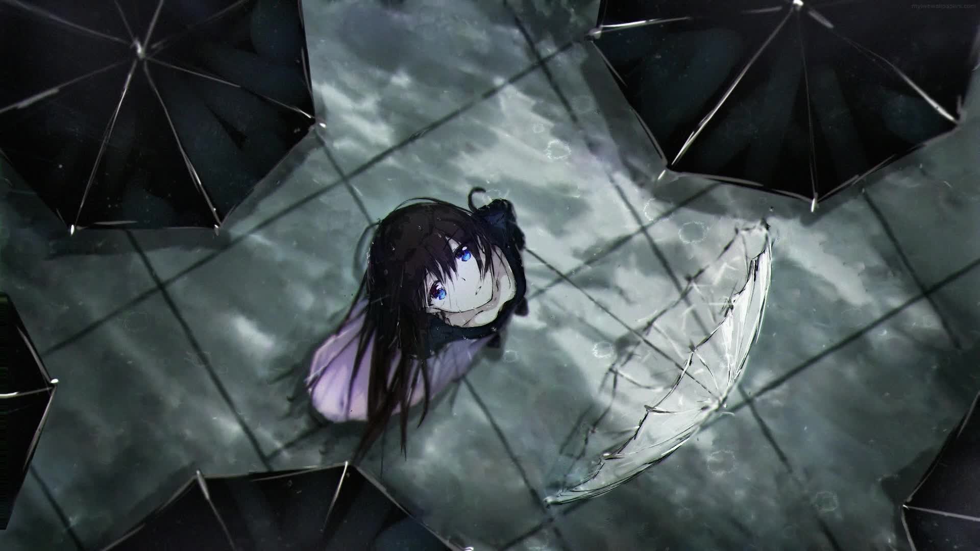 Download PC Rain From Above Live Wallpaper Free