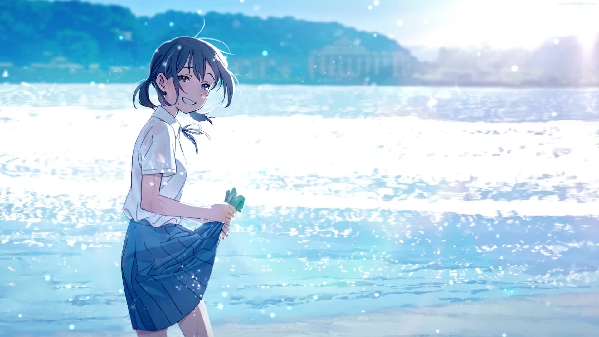 Download PC Beach School Trip Live Wallpaper Free