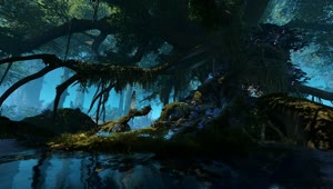 PC Enchanted Forest 1 Live Wallpaper Free