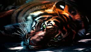 PC Tiger Breathing Live Wallpaper Free