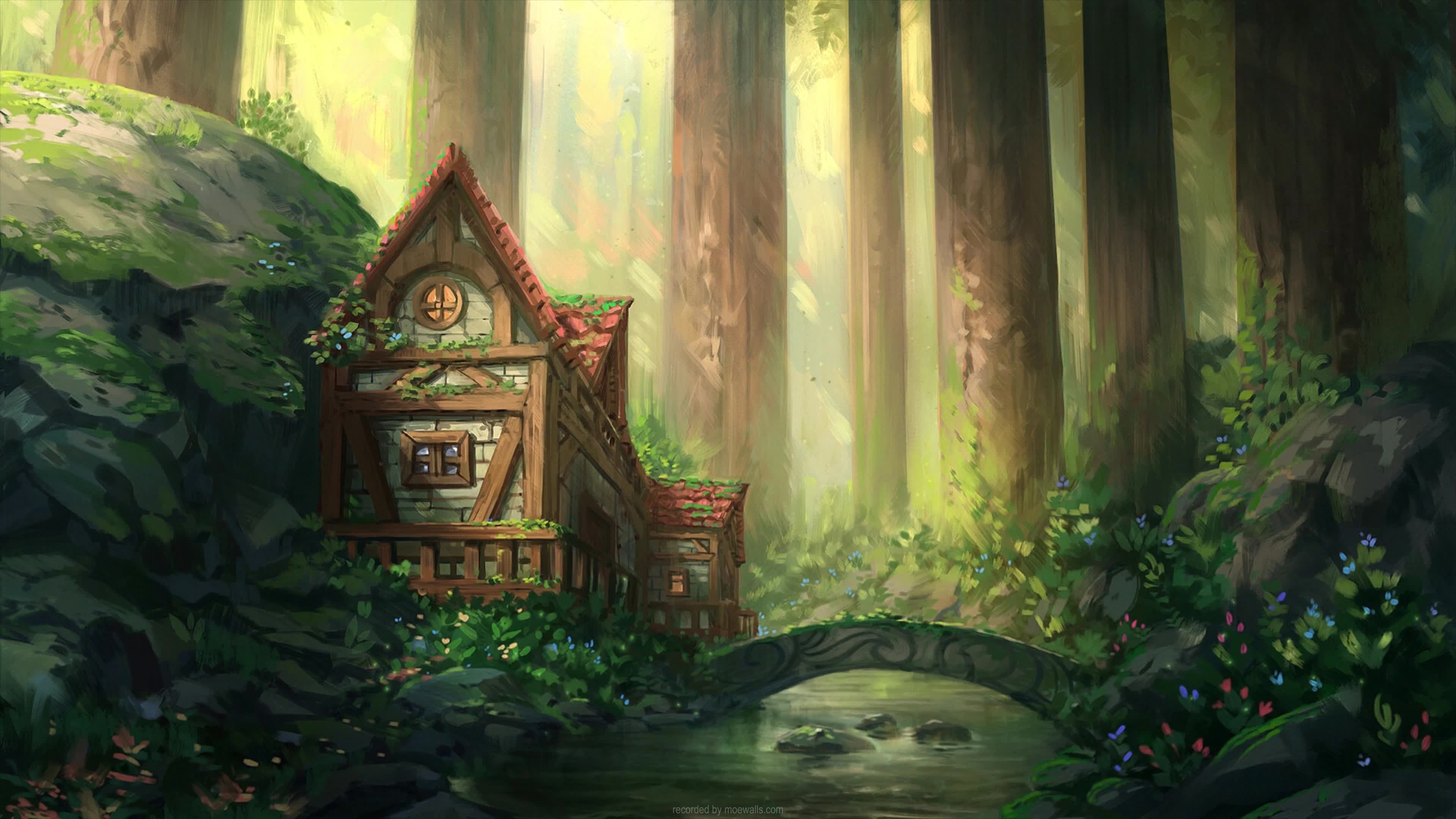 Download 4K Cozy Little Place In The Forest Live Wallpaper For PC