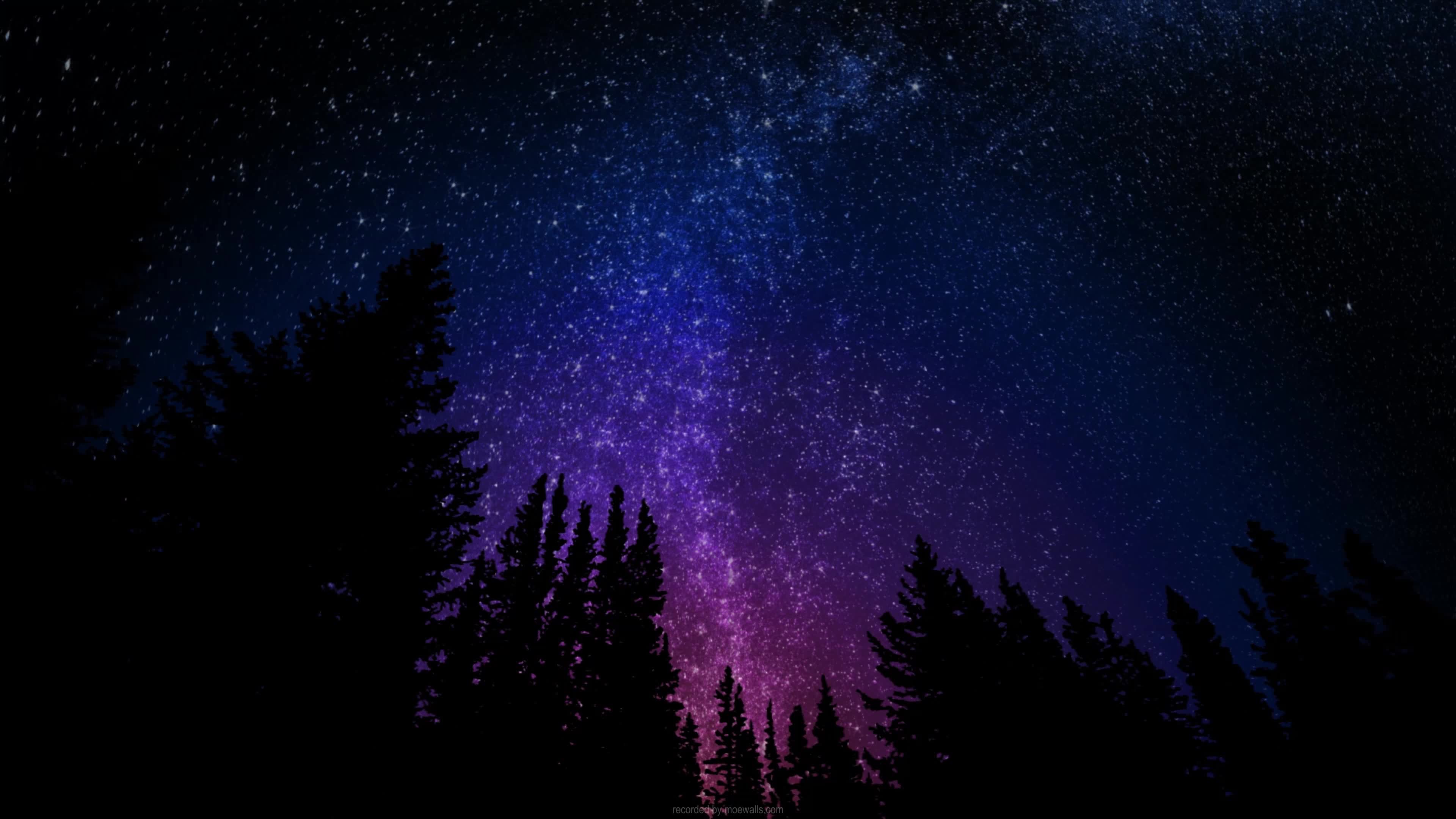 4K Midnight Forest Beneath The Milky Way Live Wallpaper For PC