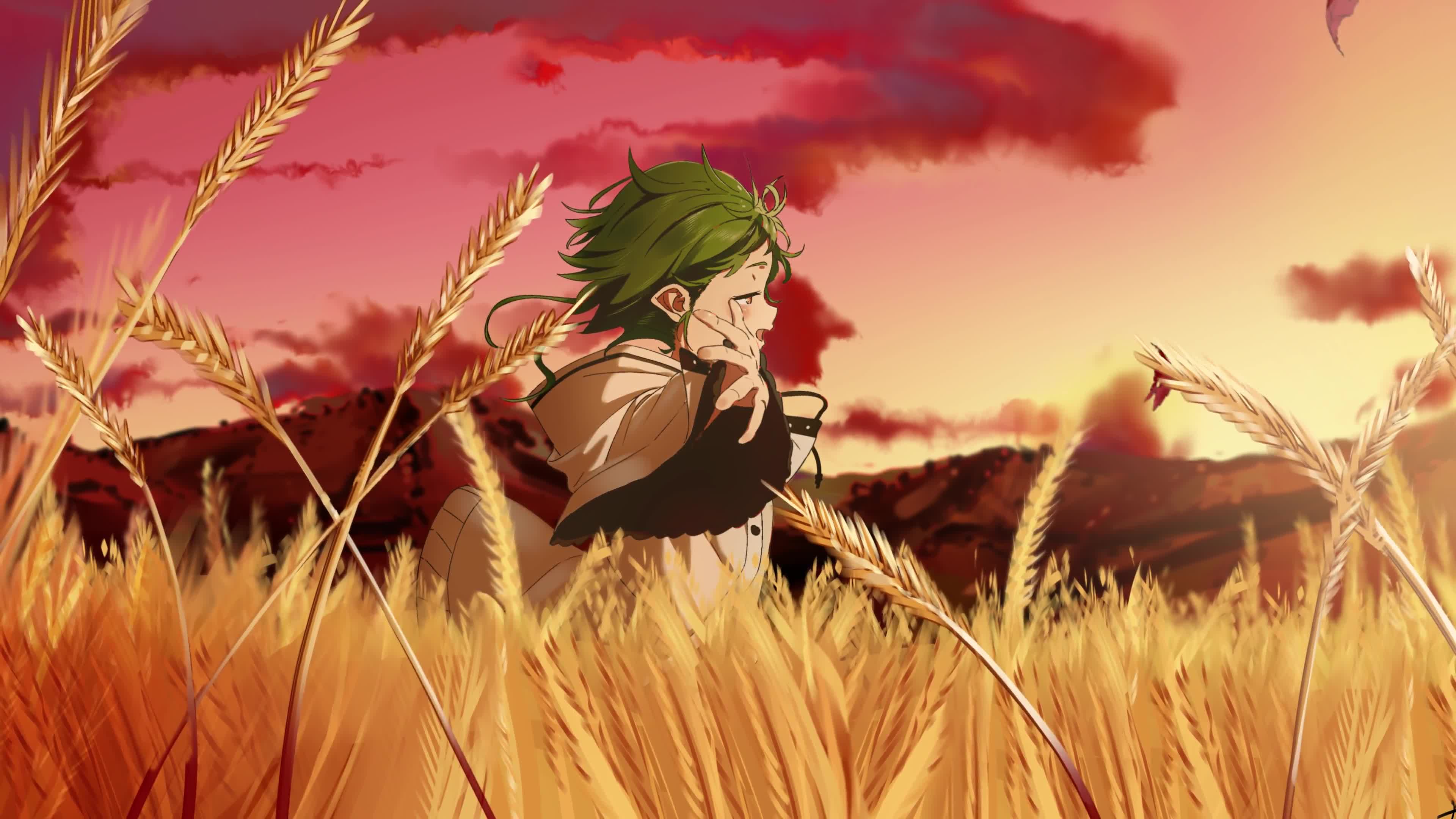 Download PC Desktop Sunset In The Field Anime Desktop 4k Live Wallpaper