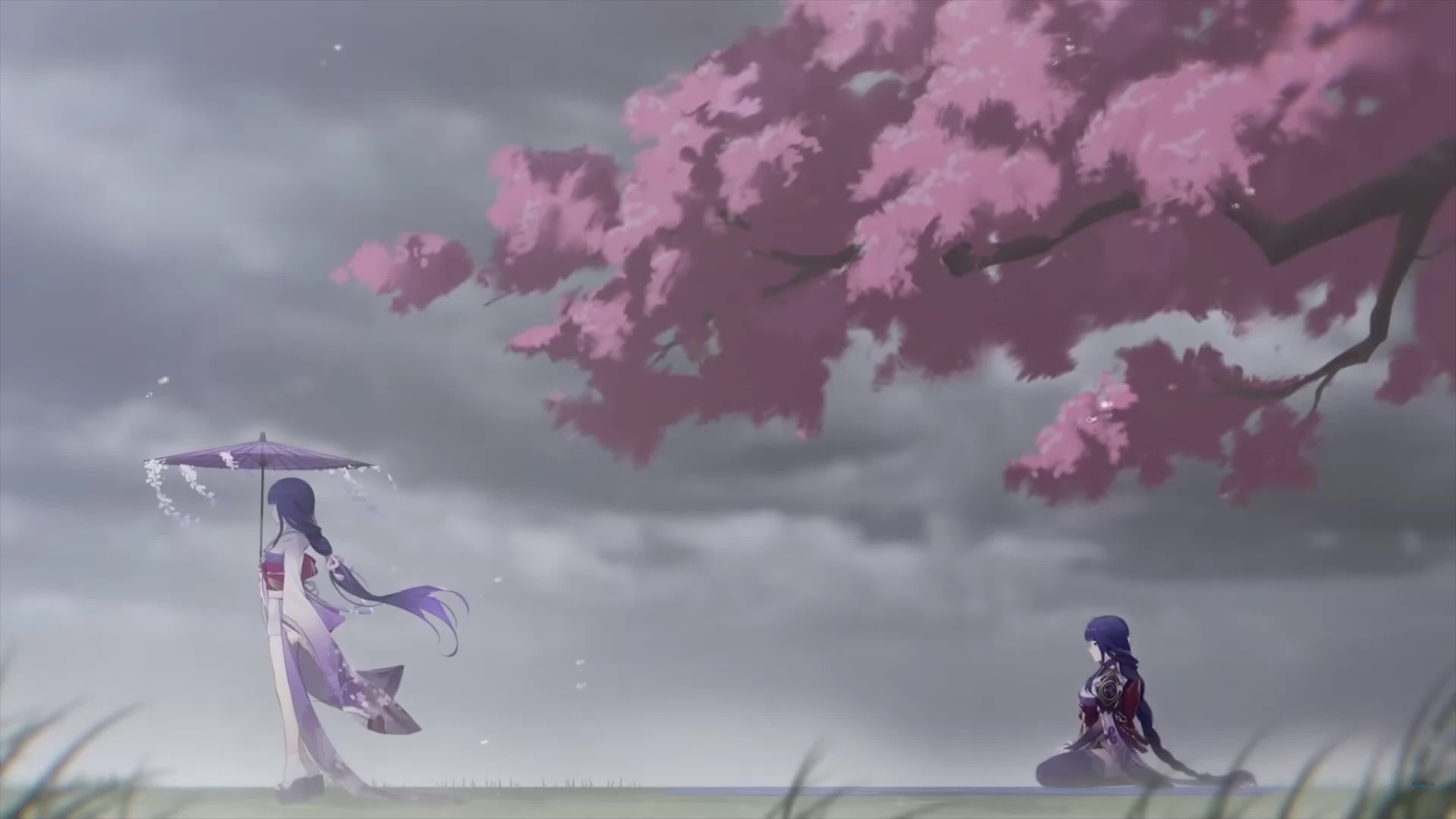 Download PC Desktop Trim 4k Live Wallpaper