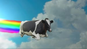 PC Desktop Rainbow Cow Live Wallpaper