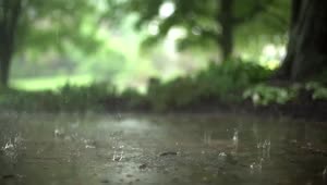 Droplet Raining HD Live Wallpaper For PC