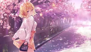 Anime Bunny Girl With Sakura Blossom HD Live Wallpaper For PC