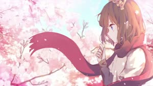 Kano Cherry Blossom HD Live Wallpaper For PC