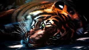 Relaxed Tiger Breathing HD Live Wallpaper For PC