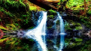 Waterfall In Serene Forest HD Live Wallpaper For PC
