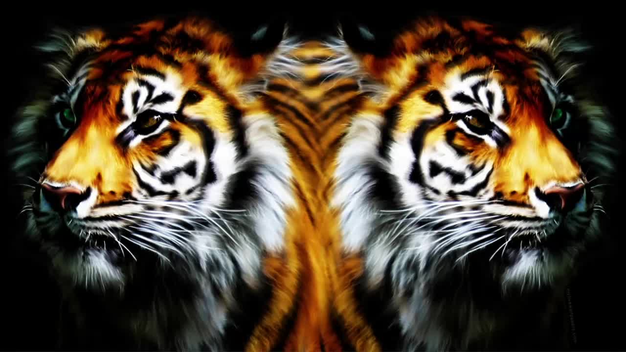 Download Tiger Mirror HD Live Wallpaper For PC
