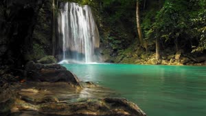 Waterfall In The Jungle HD Live Wallpaper For PC