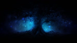 Dark Tree Blue Orbs HD Live Wallpaper For PC