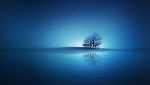 Lonely Tree Under The Night Stars HD Live Wallpaper For PC