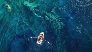 Dragon Skeleton Underwater HD Live Wallpaper For PC