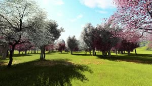 Stock Video 3d animation of a garden in spring PC Live Wallpaper