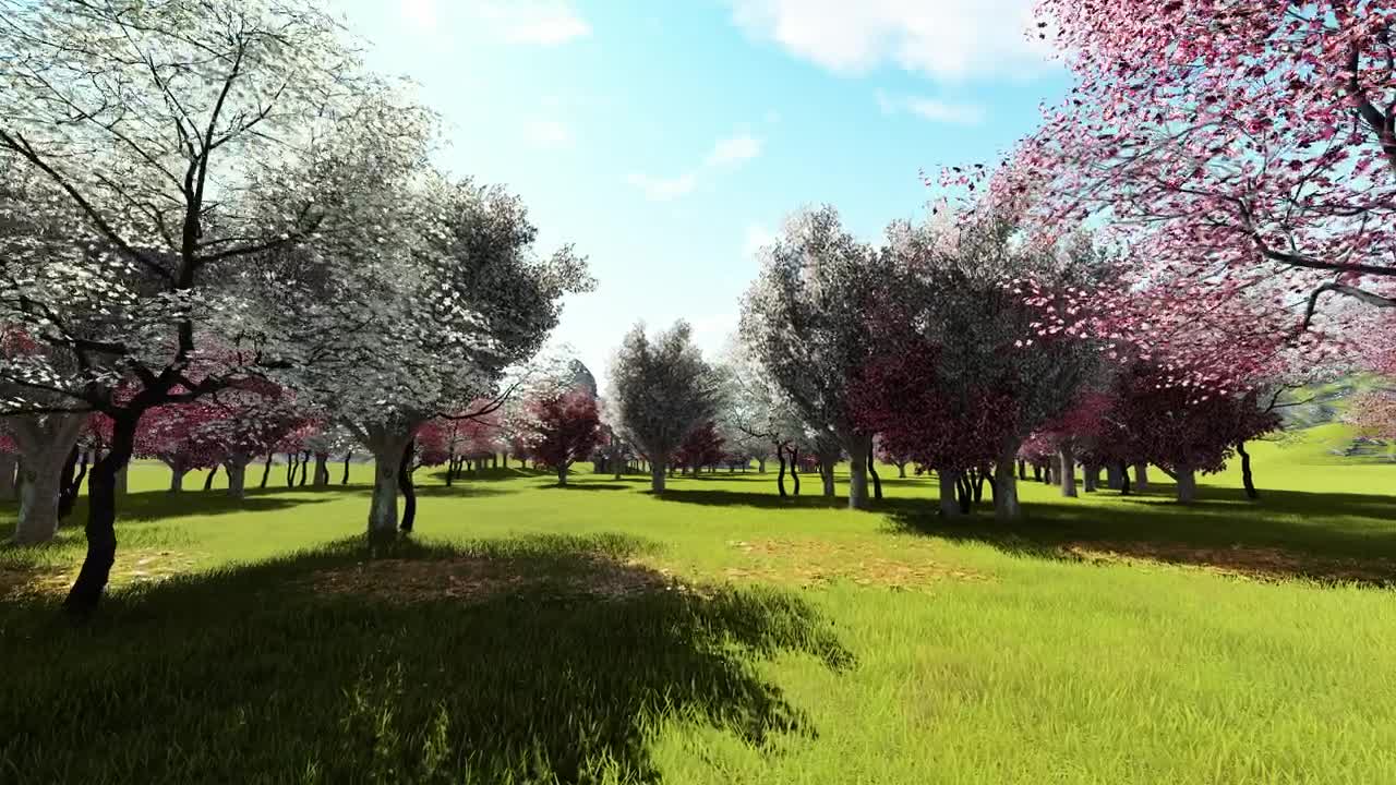 Download Stock Video 3d animation of a garden in spring PC Live Wallpaper