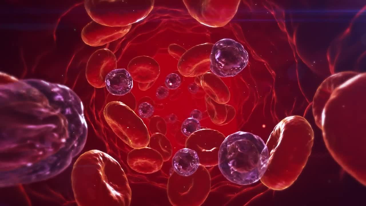 Download Stock Video 3d render of a blood stream PC Live Wallpaper