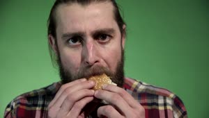 Stock Video A Bearded Man Eating A Burger Live Wallpaper for PC