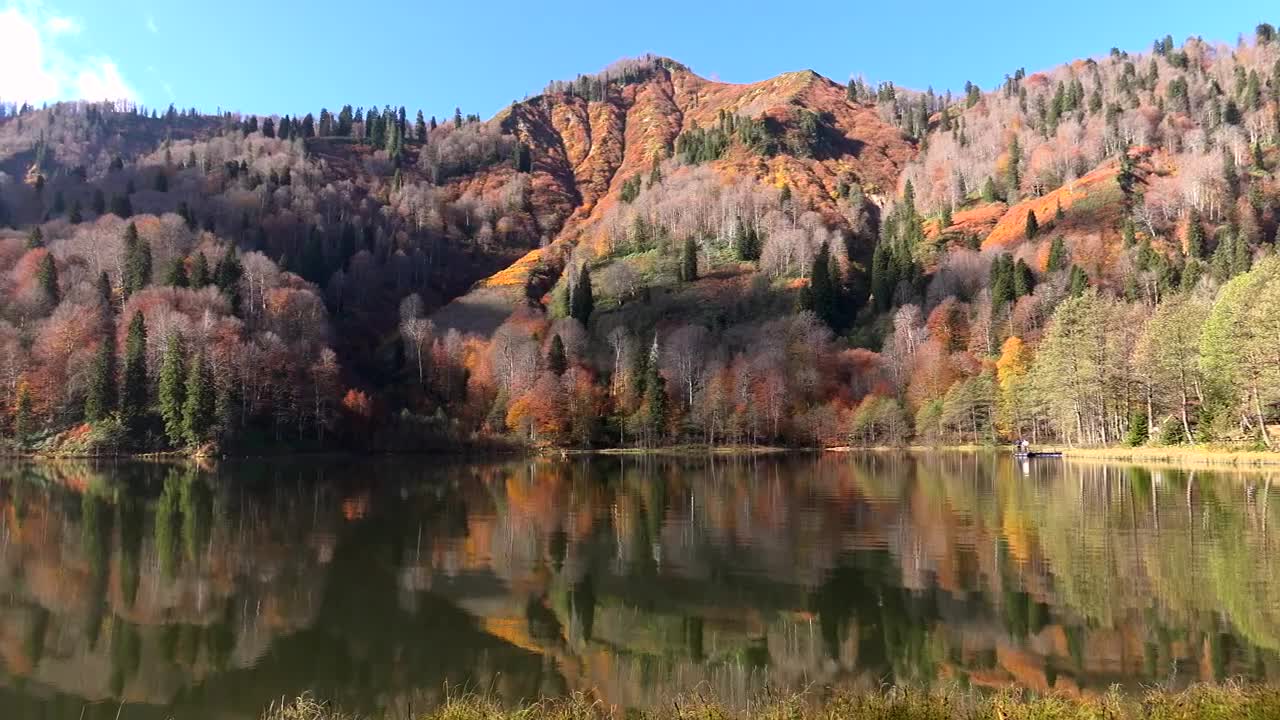 Download Stock Video A Beautiful Lake And Autumn Forest Live Wallpaper for PC