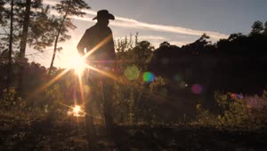 Stock Video A Cowboy Standing In A Field At Sunset Live Wallpaper for PC