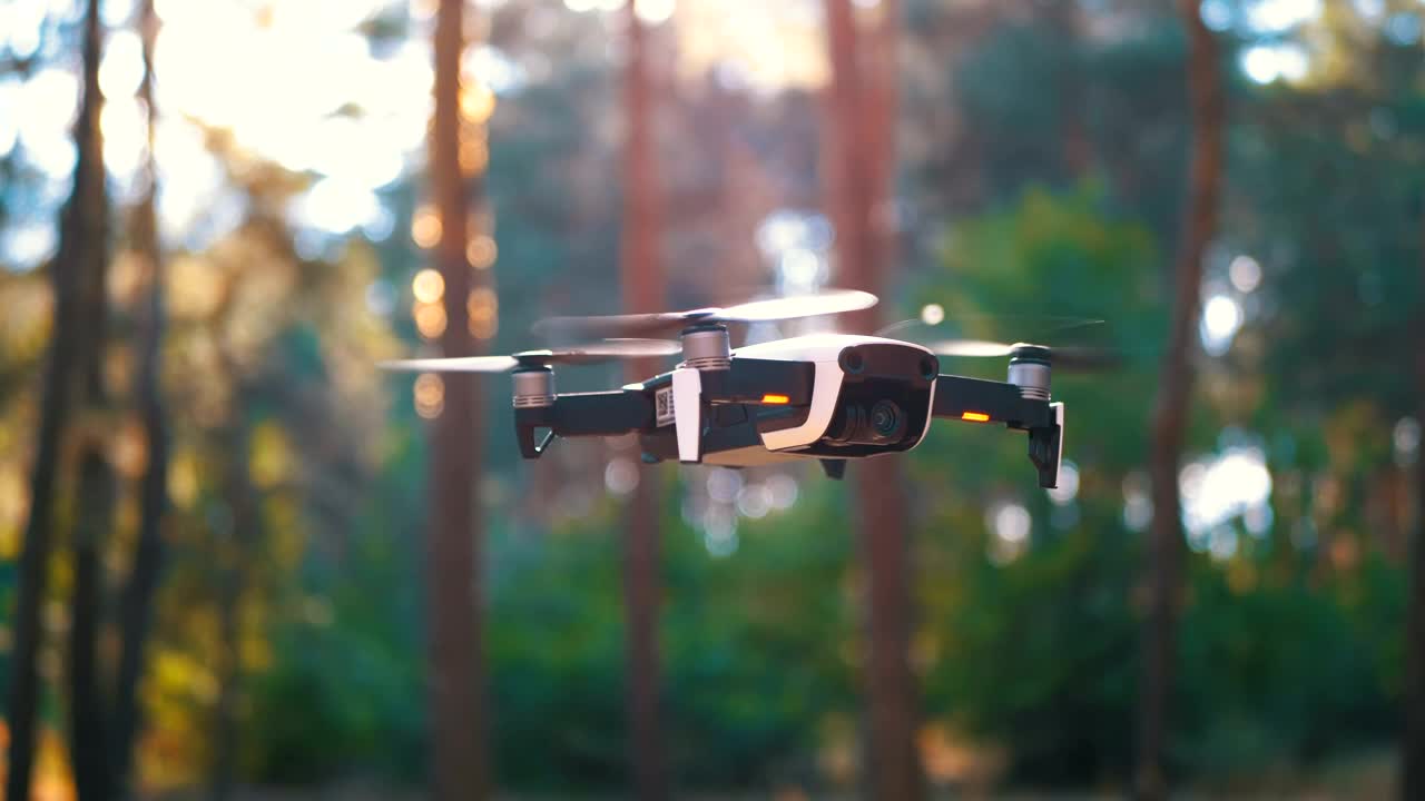 Download Stock Video A Drone Hovering On A Sunny Day In The Woods Live Wallpaper for PC