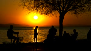 Stock Video A Family At The Sunset On The Seashore Live Wallpaper for PC