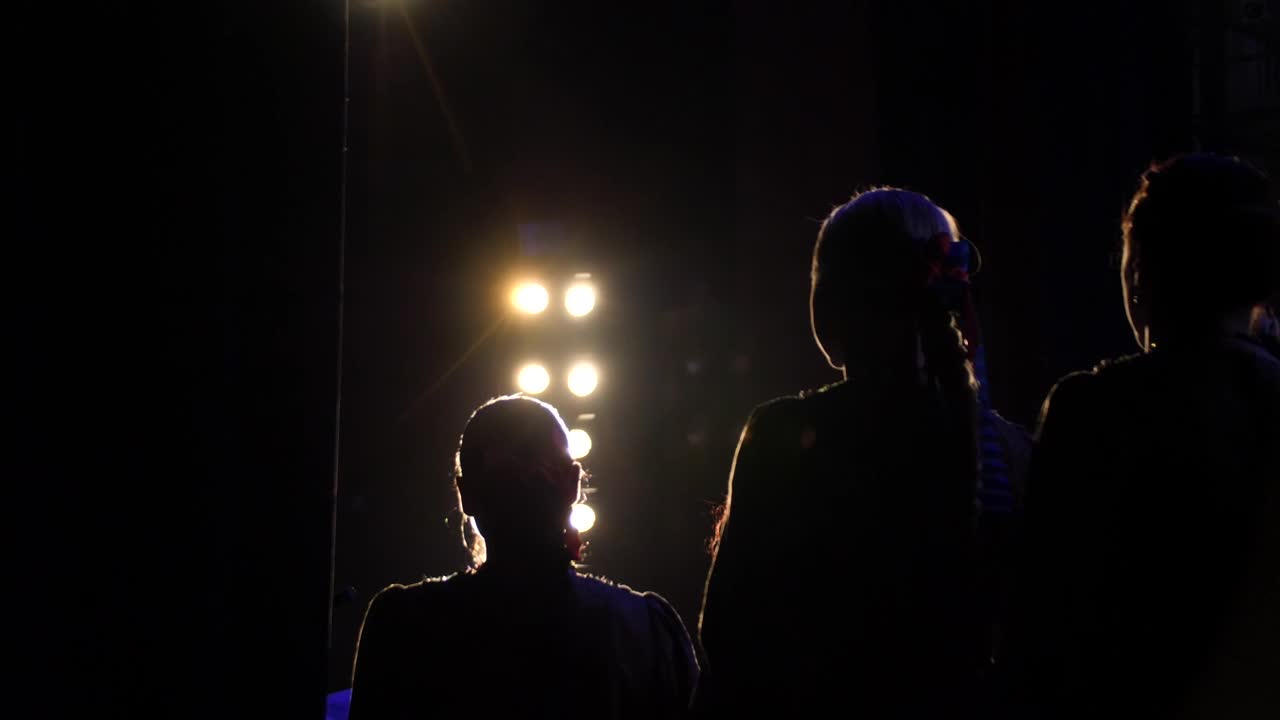 Download Stock Video Actors Silhouetted Against A Stage Light Live Wallpaper for PC