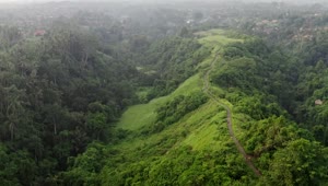 Stock Video Aerial Cinematic View Of Indonesian Jungle Road Live Wallpaper for PC