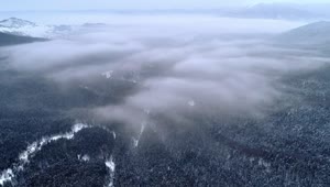 Stock Video Aerial Shot Of A Wooded Area Under The Clouds Live Wallpaper for PC