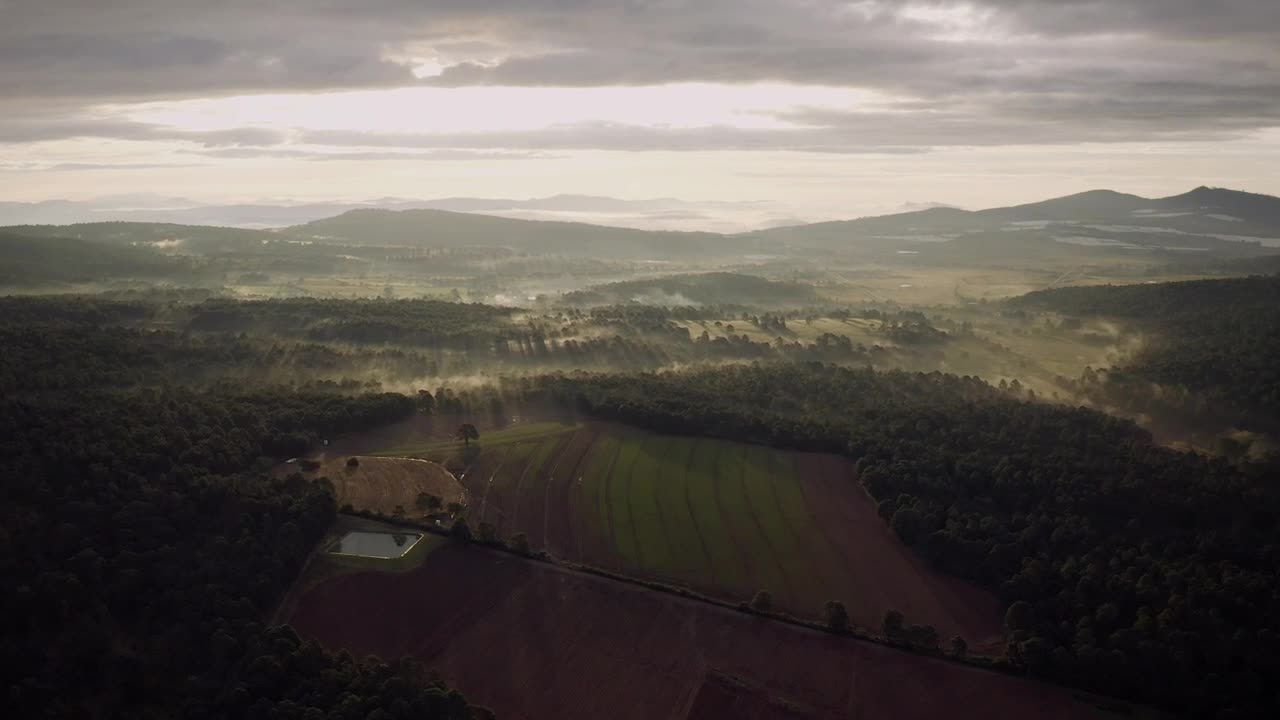 Download Stock Video Aerial View At Dawn Of A Crop Field And Forest Live Wallpaper for PC