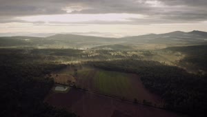 Stock Video Aerial View At Dawn Of A Crop Field And Forest Live Wallpaper for PC