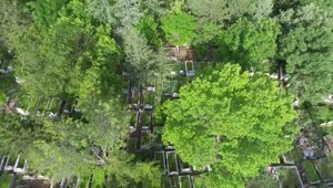 Stock Video Aerial View Of A Cemetery Live Wallpaper for PC