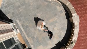 Stock Video Aerial View Of A Couple Dancing At A Wedding Live Wallpaper for PC