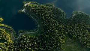 Stock Video Aerial View Of A Forest A Lake And The Road Live Wallpaper for PC