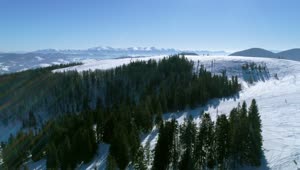 Stock Video Aerial View Of A Frozen Forest In The Mountains Live Wallpaper for PC