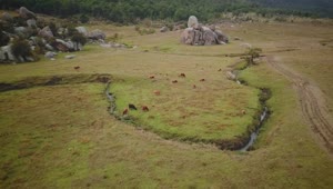 Stock Video Aerial View Of A Green Field With Giant Rocks Live Wallpaper for PC