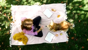 Stock Video Aerial View Of A Picnic Day With A Dog Live Wallpaper for PC