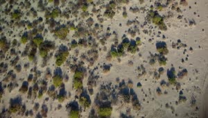 Stock Video Aerial View Of A Sandy Terrain Live Wallpaper for PC