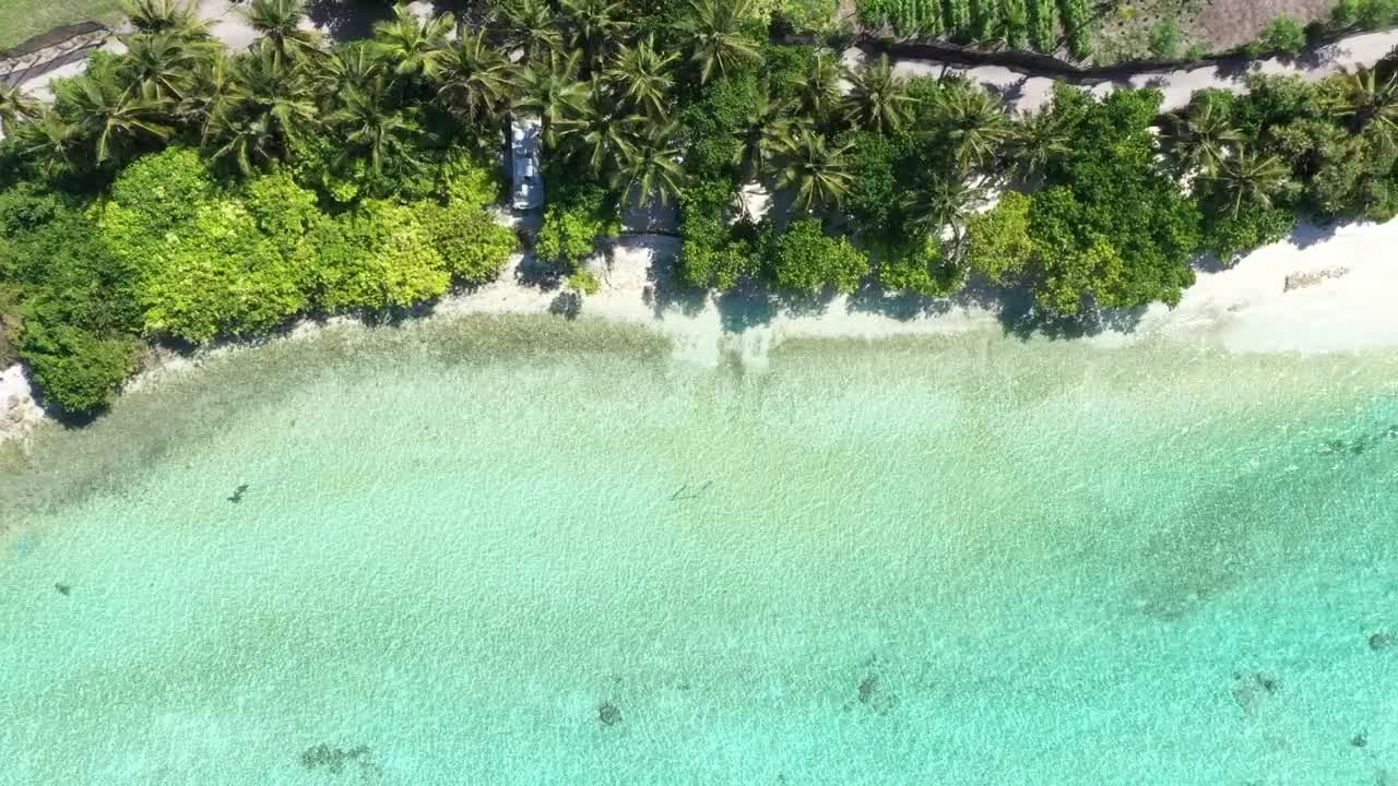 Download Stock Video Aerial View Of A Tropical Beach With Green Palms Live Wallpaper for PC