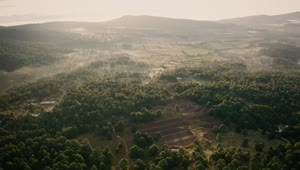 Stock Video Aerial View Of A Wooded Landscape In The Morning Live Wallpaper for PC