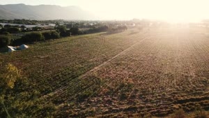 Stock Video Aerial View Of Agriculture Field Live Wallpaper for PC
