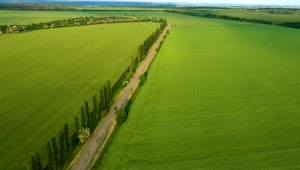Stock Video Aerial View Of Green Fields And A Road Live Wallpaper for PC
