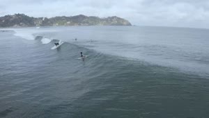 Stock Video Aerial View Of People Surfing Live Wallpaper for PC